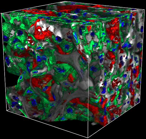 KMC 2 Merged