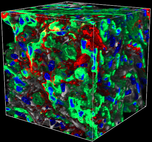KMC 3 Merged