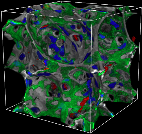 KMC 1 Merged