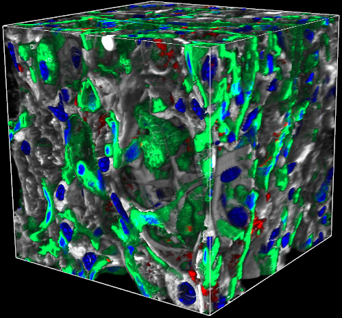 KMC 3 Merged
