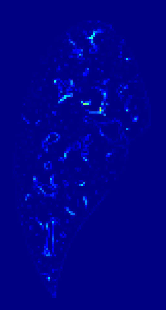 Week 0 aSMA heatmap