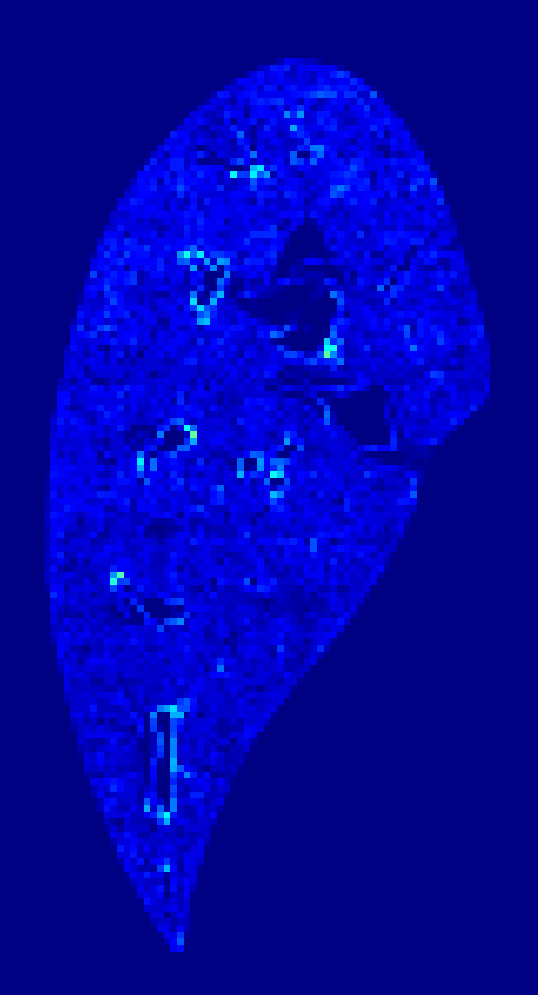 Week 0 DAPI heatmap