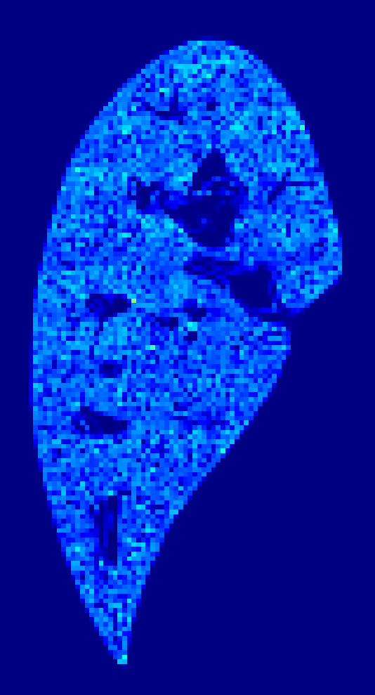 Week 0 GFP heatmap