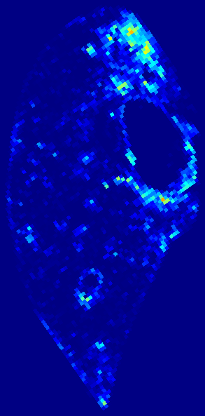 Week 1 aSMA heatmap
