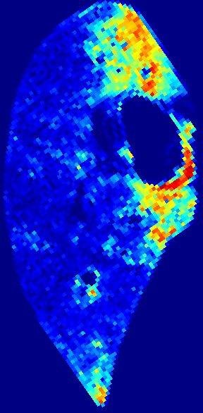 Week 1 DAPI heatmap