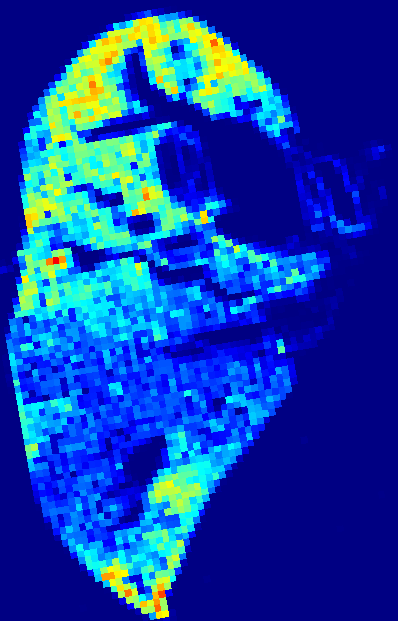Week 2 GFP heatmap