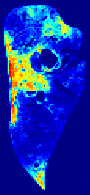 Week 3 DAPI heatmap