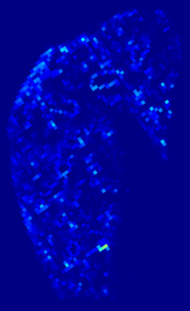 Week 6 aSMA heatmap