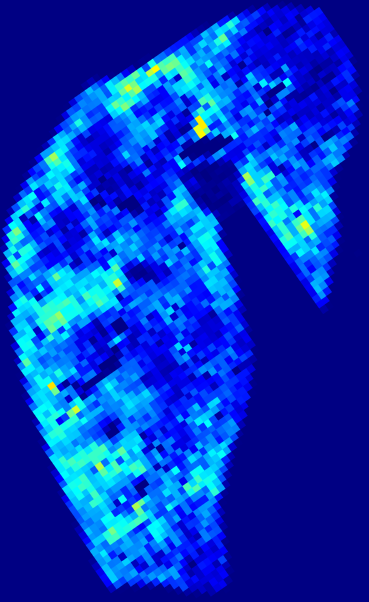 Week 6 DAPI heatmap