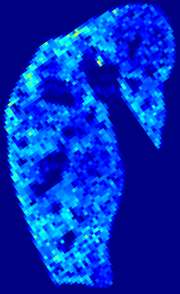 Week 6 GFP heatmap